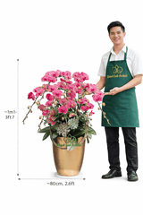 Lan Hồ Điệp Đỏ Cam Sen Đá 10 Cành - HDC039