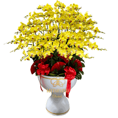 Lan Hồ Điệp Vàng A42 40 Cành - Vạn Sự Cát Tường - HDV005