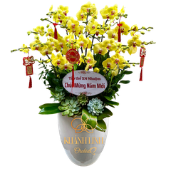 Lan Hồ Điệp Vàng 15 Cành - Cung Hỷ Phát Tài - HDV019