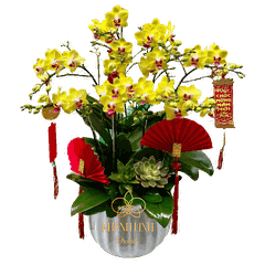 Lan Hồ Điệp Mini Vàng - Phúc Lộc Thọ - MNV006