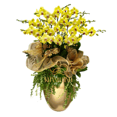 Lan Hồ Điệp Vàng 15 Cành - Thanh Nhã - HDV014