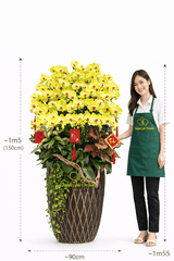 Lan Hồ Điệp Vàng Chanh 30 Cành - HDV107