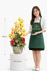 Lan Hồ Điệp Vàng Thác Đổ 5 Cành - HDV105 - Xuân Yên Vui