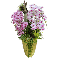 Lan Hồ Điệp Phối Màu Kết Hợp Gỗ 14 Cành - DS048