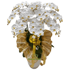 Lan Hồ Điệp Trắng Dâng Phật 10 Cành - HDW048