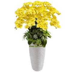 Lan Hồ Điệp Phun Màu Vàng Tươi 11 Cành - VIP022