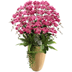 Lan Hồ Điệp Đỏ Cam 30 Cành - HDC037