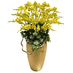 Lan Hồ Điệp Vàng Chanh A42 20 Cành - HDV109