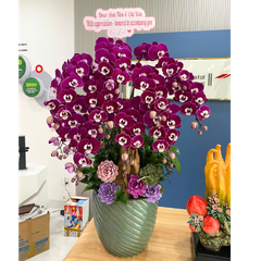 Lan Hồ Điệp Tím Ngọc Trai 10 Cành - HDT050