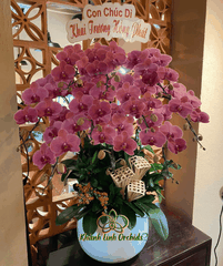 Lan Hồ Điệp Đỏ Cam 10 Cành - HDC041