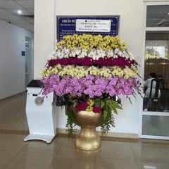 Lan Hồ Điệp Phối Màu Ngũ Sắc 70 Cành - DS086