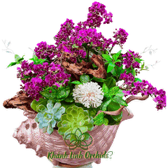 Lan Hồ Điệp Mini Tím Thiết Kế - Lavender Ocean Whisper