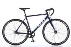 Xe đạp Fixed Gear Calli R1.5