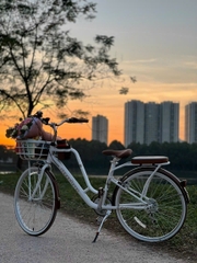 Xe đạp mini California Modeltime Cacao 26 inch