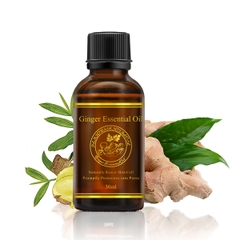 Aliver Ginger Essential Oil tinh dầu tuần hoàn máu cao cấp