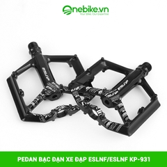 Pedan bạc đạn xe đạp ESLNF/ESLNF KP-931
