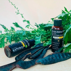 Dầu Gội Thảo Mộc Bồ Kết Hương Nhu 500gr - Phục Hồi Hư Tổn - Hoa Đông Dương