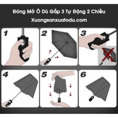 Dù Bấm Tự Động Nhật