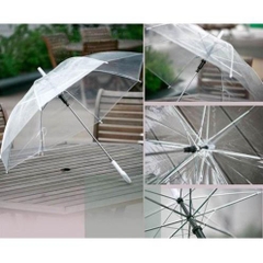 Ô Trong Suốt Hàng Loại 1
