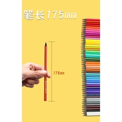 [Free Ship] Hộp Bút Chì Màu Cao Cấp Pensing 12/24/36/48 Màu Hộp Ống Bìa Cứng