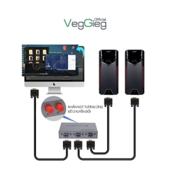Bộ Gộp VGA 2 Vào 1 VegGieg V-F201