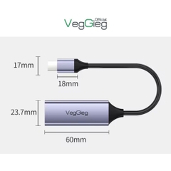Cáp Chuyển Type-C 2.0 sang LAN VegGieg V-K309