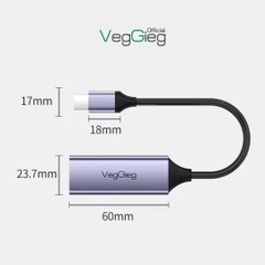 Cáp Chuyển Type-C 3.0 sang LAN VegGieg V-K308