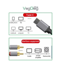 Cáp chuyển đổi VegGieg Type-C ra 2 Audio RCA V-A621