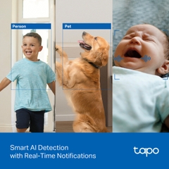 Camera Wi-Fi An Ninh Gia Đình Quay Quét AI Tapo C250