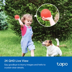 Kit Camera An Ninh Năng Lượng Mặt Trời Tapo C425 KIT