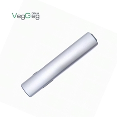 Bút trình chiếu VegGieg cảm biến laser xanh V-LP001