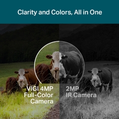 Camera IP TP-Link 4G Pan Tilt ngoài trời Full-Color 4MP VIGI C540-4G