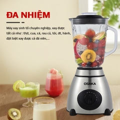 Máy xay sinh tố Osaka BL-669 _ Dung tích 1.5L _ Chính hãng Osaka Việt Nam