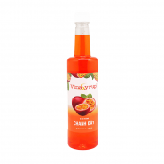 Siro Vina chai 750ml - CHANH DÂY
