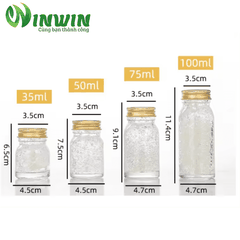 Chai thủy tinh 30ml 35ml 50ml 75ml 80ml 100ml