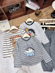 T773-Set giấy kẻ Cu Shin quần gió (15.27kg)