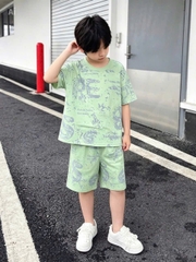 T710-Bộ cotton loang xanh RE (10.38kg)