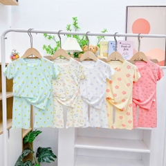 B511-Bộ thun lạnh cộc quần dài gái (08.15kg)