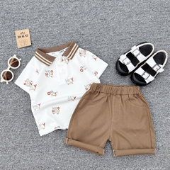 T311-Set áo polo Hey nâu quần kaki