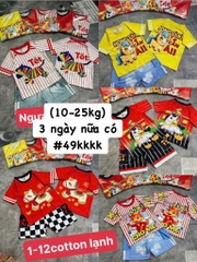 B467-Bộ cotton lạnh đùi Ngựa Tết (10.22kg)