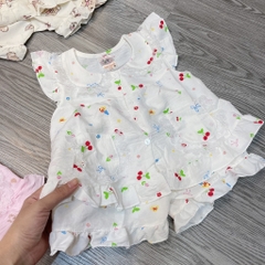 B520-Bộ cánh tiên đũi hàn 2 túi (07.14kg)