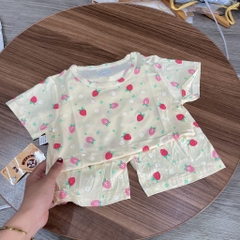 B372-Bộ cộc cotton lụa xước QC (08.27.438)