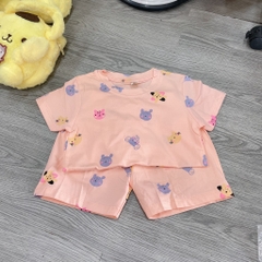 G538-Bộ cotton gấu hồng in rơi (10.24.428)