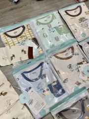 B202-Bộ cotton kháng khuẩn cúc vai lanyutu