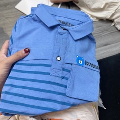 A414-Áo polo gấu kẻ xanh