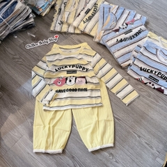 G962-Set giấy kẻ Lucky quần gió (16.23kg)