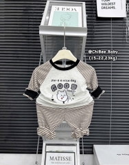 T490-Bộ zip dài kẻ chó bé trai (16.23.561)