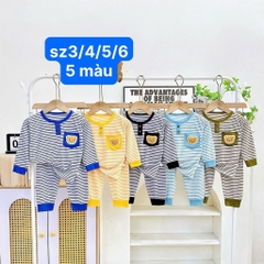 B594-Bộ dài thun lạnh kẻ gấu xù (08.15kg)