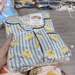 T750-Bộ pizama đũi bé trai (10.19kg)