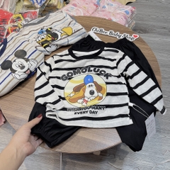 T767-Set giấy kẻ dài quần gió hàn (10.27kg)